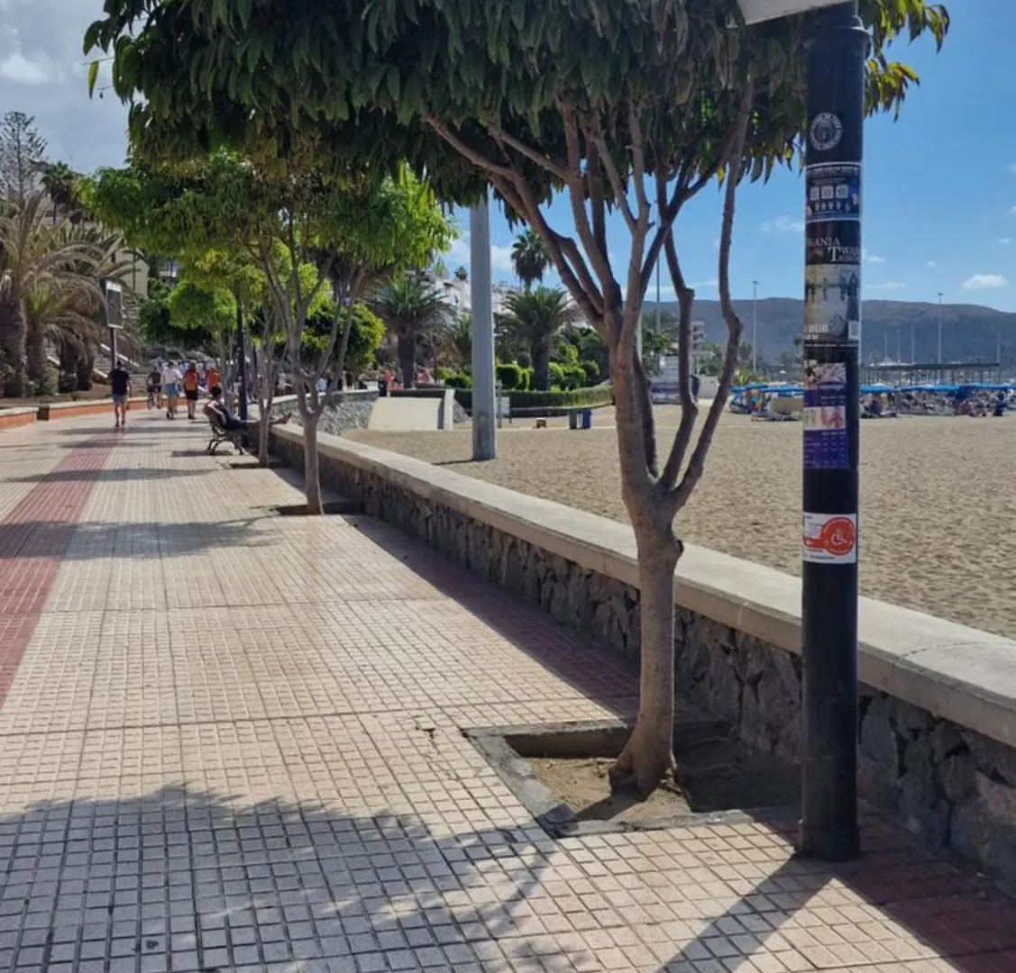 Apartment Duplex Los Cristianos Beach